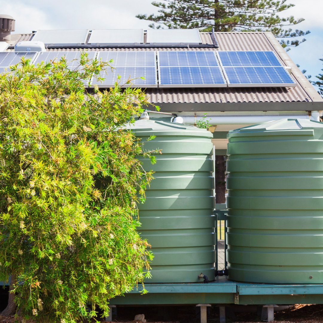 rainwater harvesting